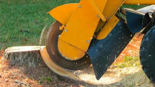 Work photo for Stump Grinding or Removal Service $400