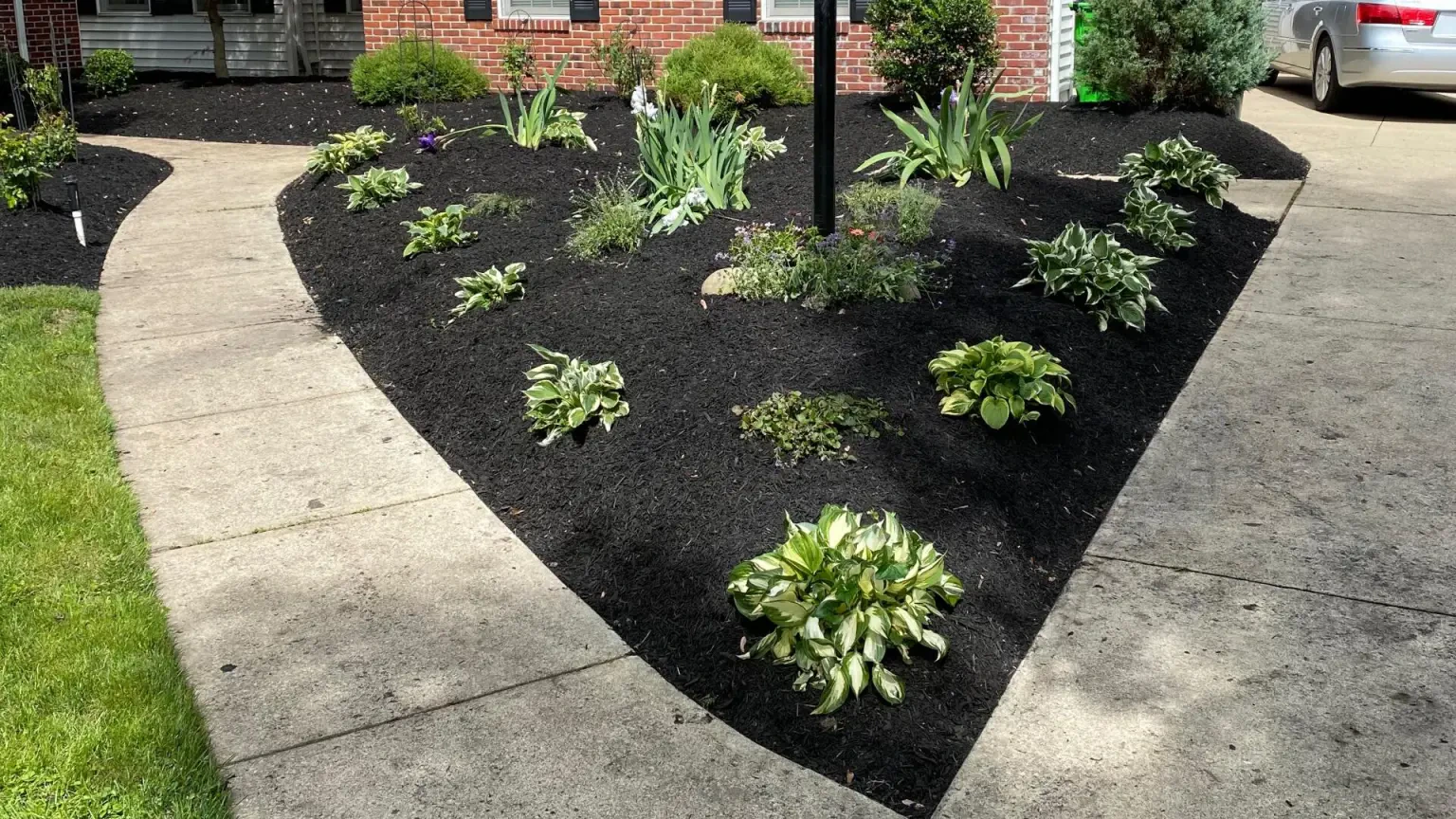 Work photo for Shrub Trimming and Yard Cleanup Service $150