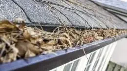 Work photo for Gutter Cleaning - $150 Flat Fee