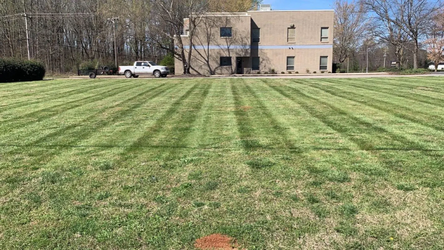 Work photo for Landscape Package: Trim, Mow, Edge, and Blow! $260