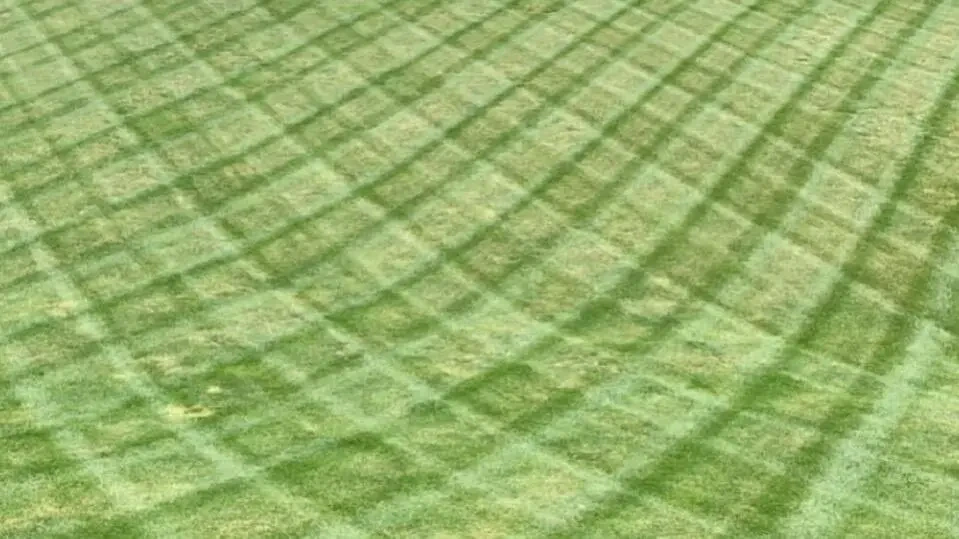 Work photo for Landscape Package: Trim, Mow, Edge, and Blow! $260