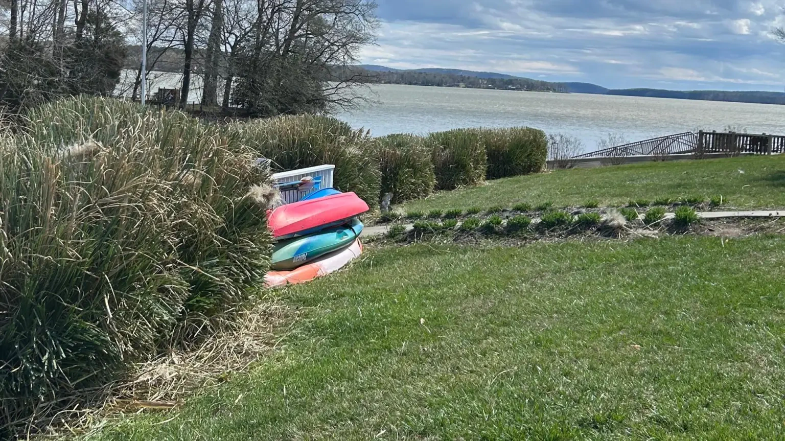 Work photo for Shrub Trimming and Yard Cleanup Service $150