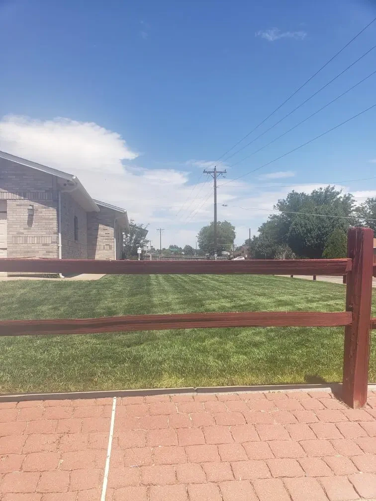 Work photo for CHEAP YARD SERVICES!
