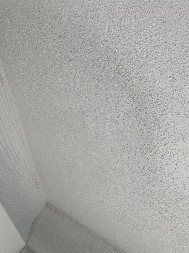 Work photo for Ceiling Repair