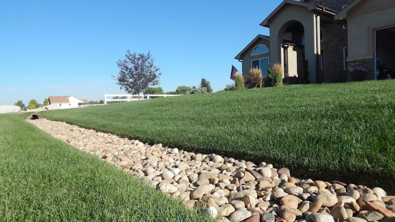 Work photo for Weekly - Lawn Care: Mow, Trim, and Blow! $25