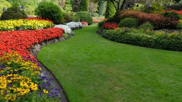 Work photo for Landscape Package: Trim, Mow, Edge, and Blow! $260