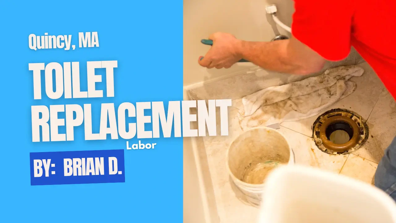 Work photo for Toilet removal & replacement labor only $250