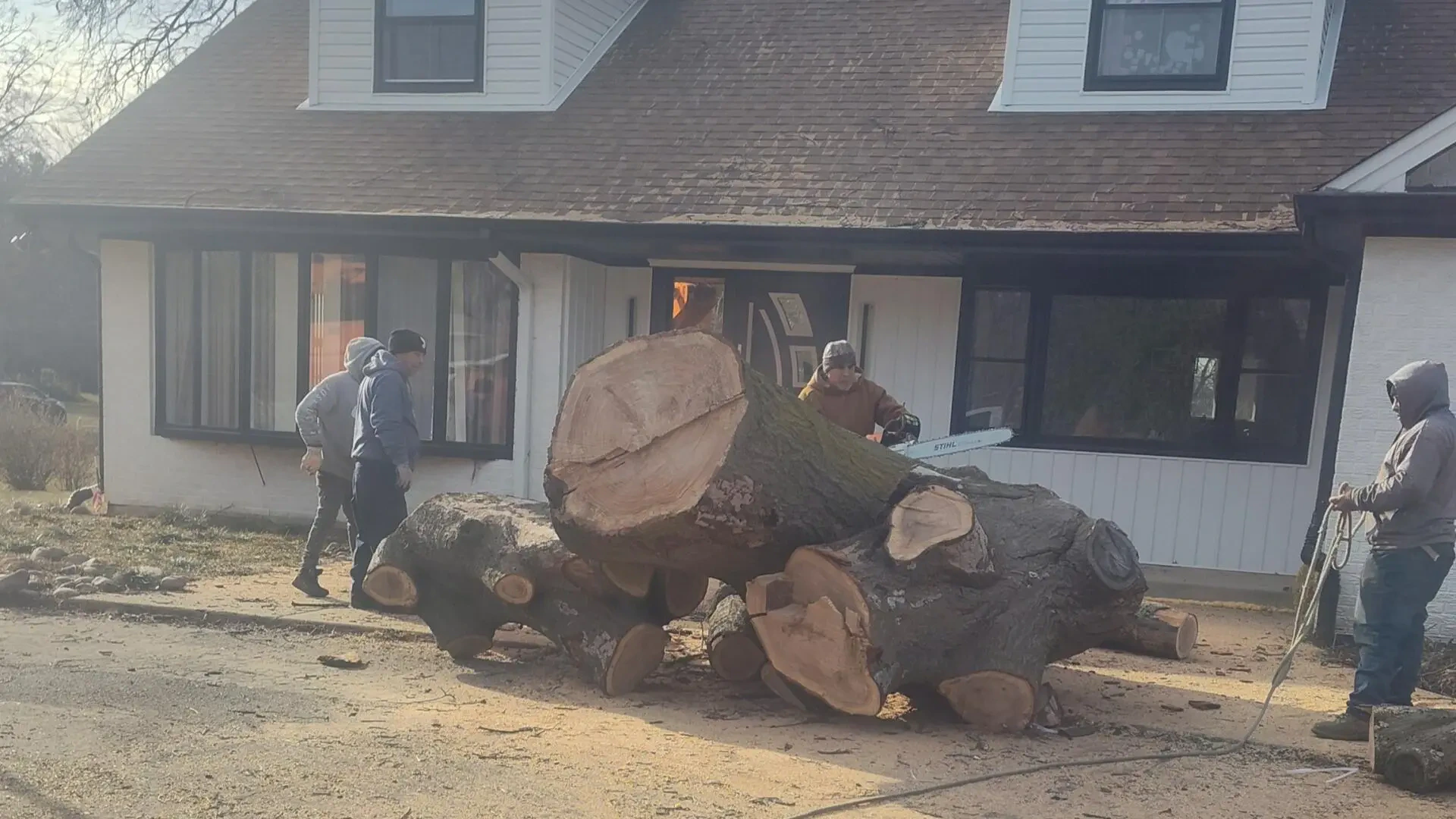 Work photo for Tree Removal: Most difficult tree cut, grind and haul $1000