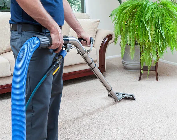 Work photo for White Glove Carpet Cleaning: Expert Carpet & Upholstery Cleaning in Bear, DE
