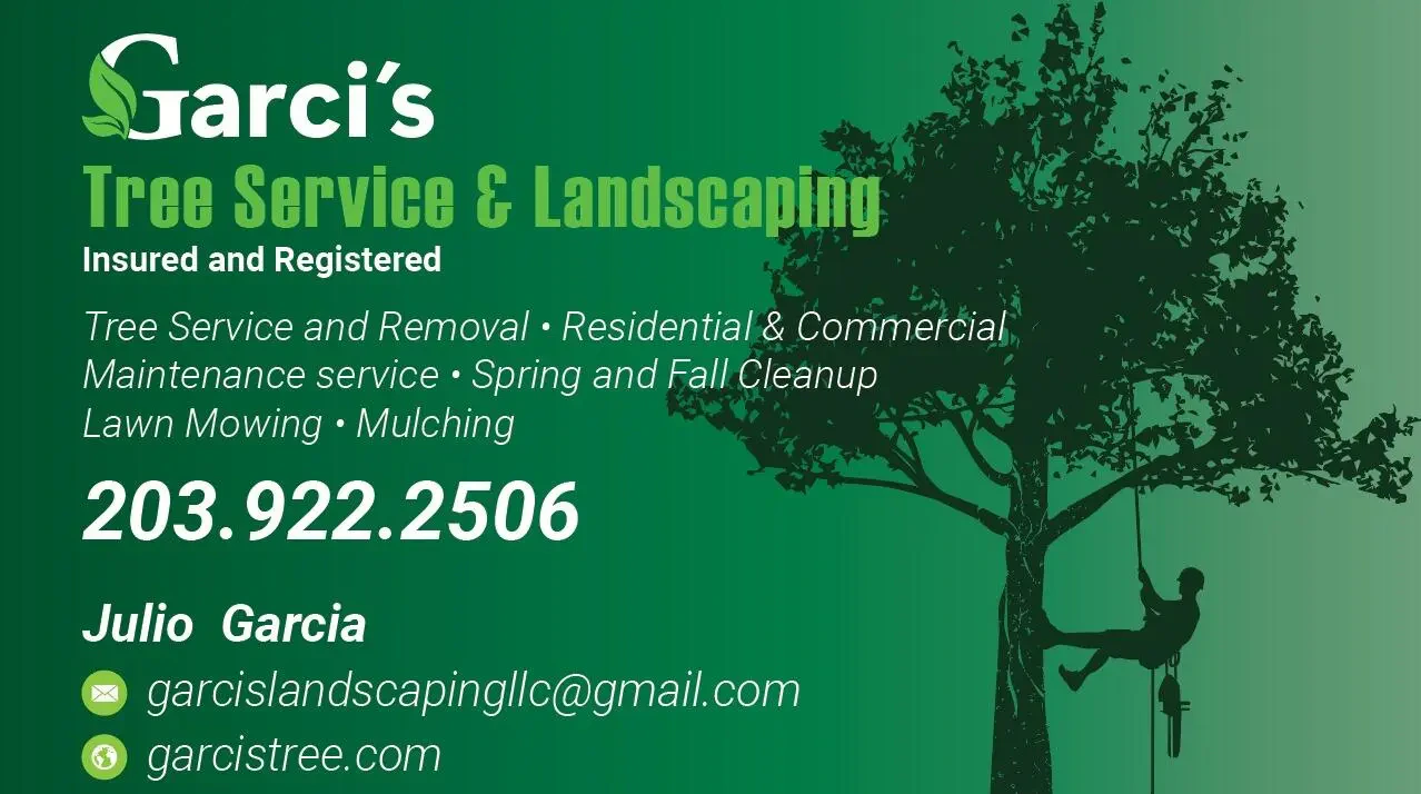 Work photo for tree Removal & landscaping