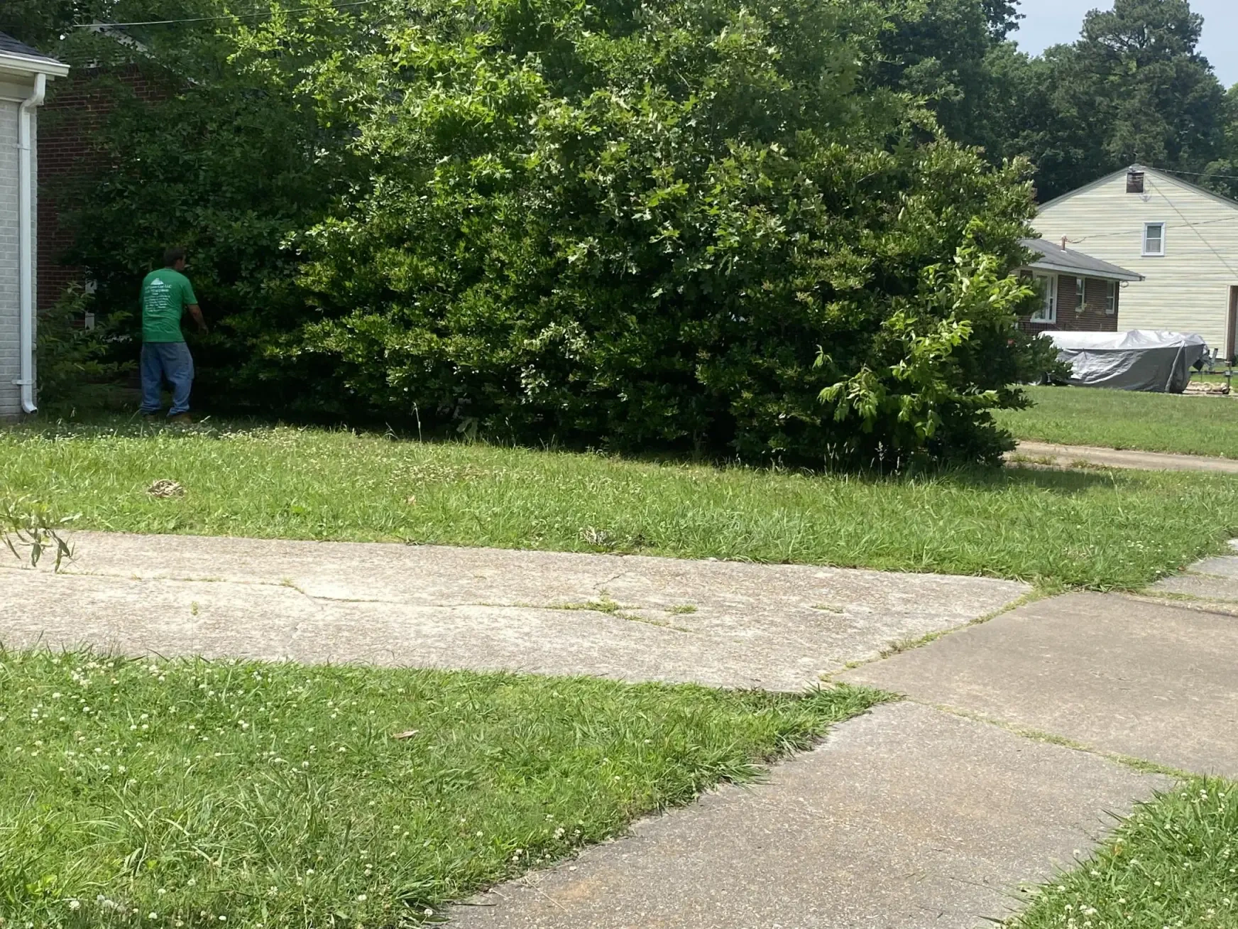 Work photo for Landscape Package: Trim, Mow, Edge, and Blow!
