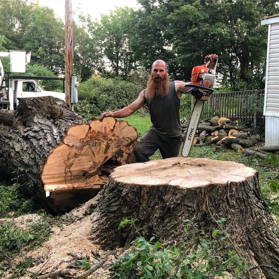 Work photo for Tree Removal: Most difficult tree cut, grind and haul $1000