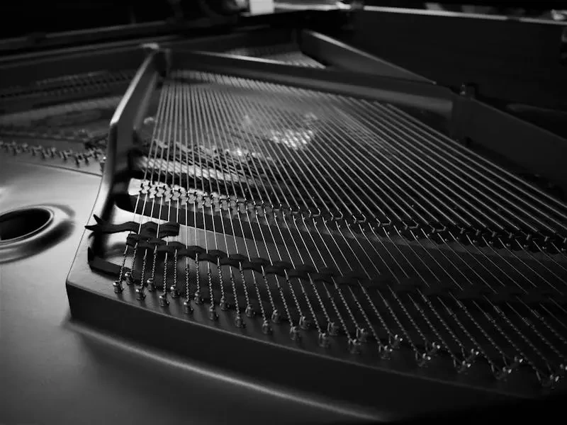 Work photo for Professional Piano Tuning Services by Expert Artisans