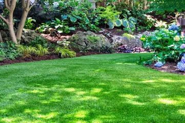 Work photo for Landscape Package: Trim, Mow, Edge, and Blow! $260
