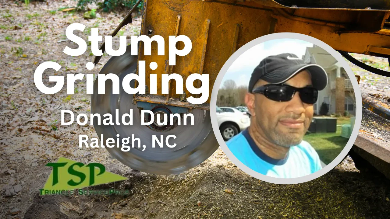 Work photo for Stump Grinding Service