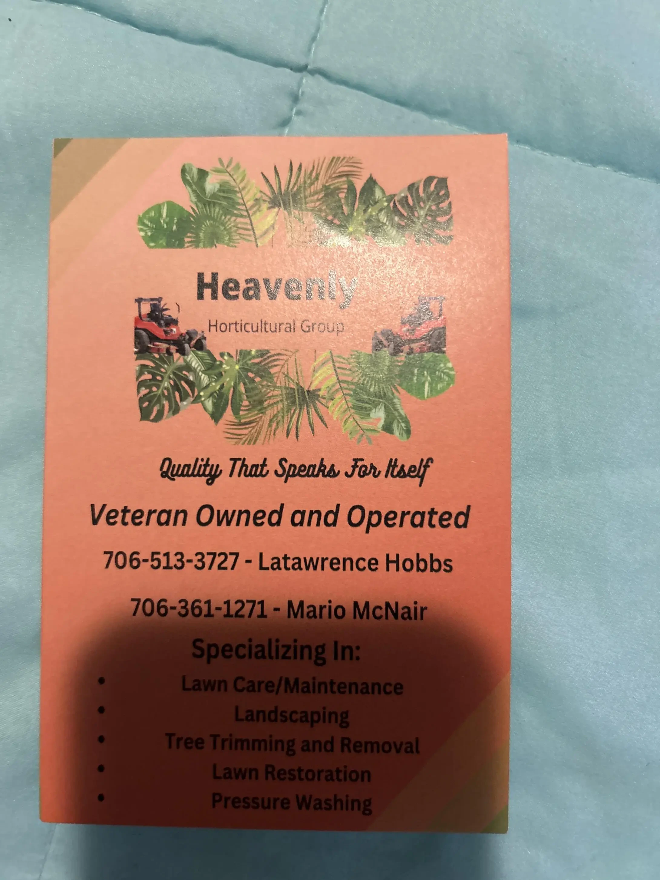 Work photo for Detail Lawn Care