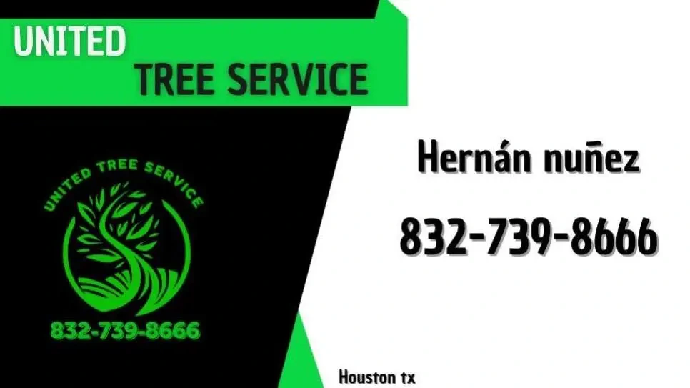 Work photo for Basic Tree Trimming Service $150