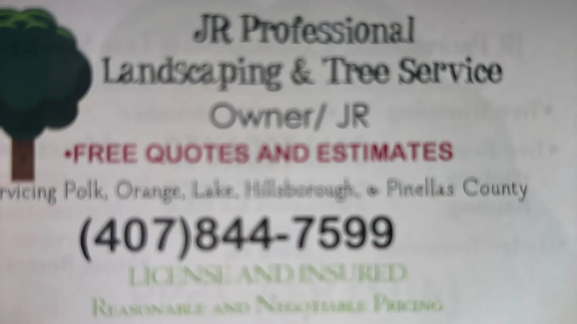 Work photo for Expert Landscaping & Tree Services in Davenport, FL – Transforming Outdoor Spaces with Precision