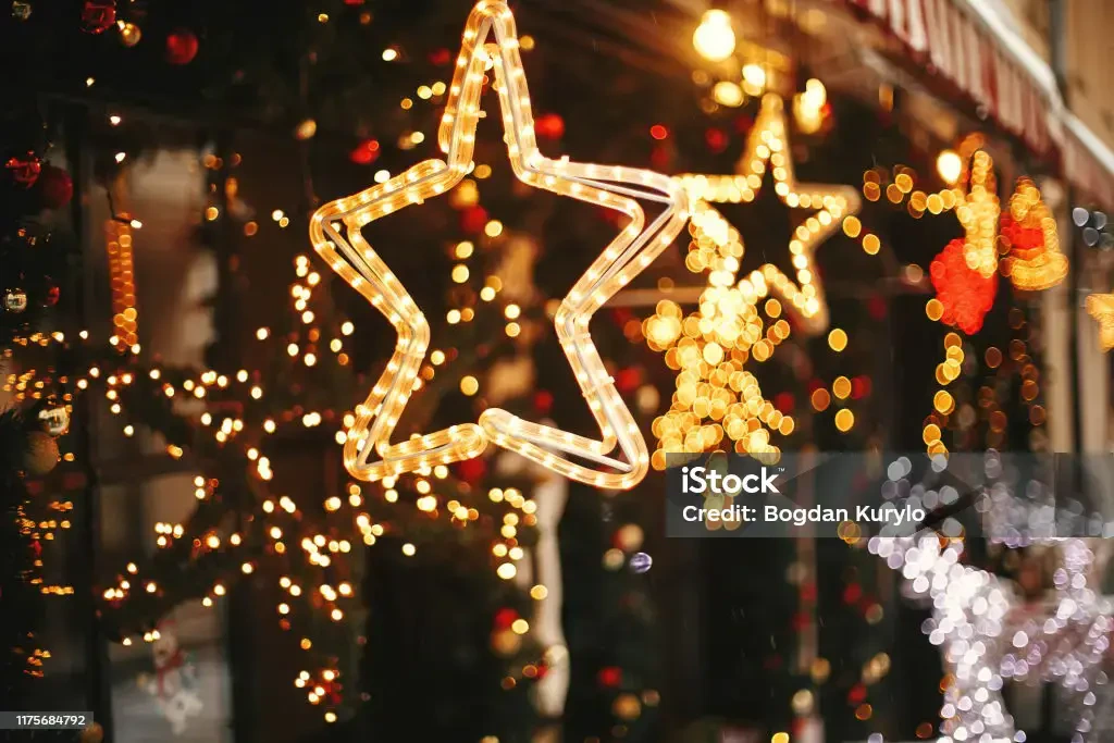 Work photo for Professional Holiday Lighting Installation Service: Make Your Season Merry & Bright! $240