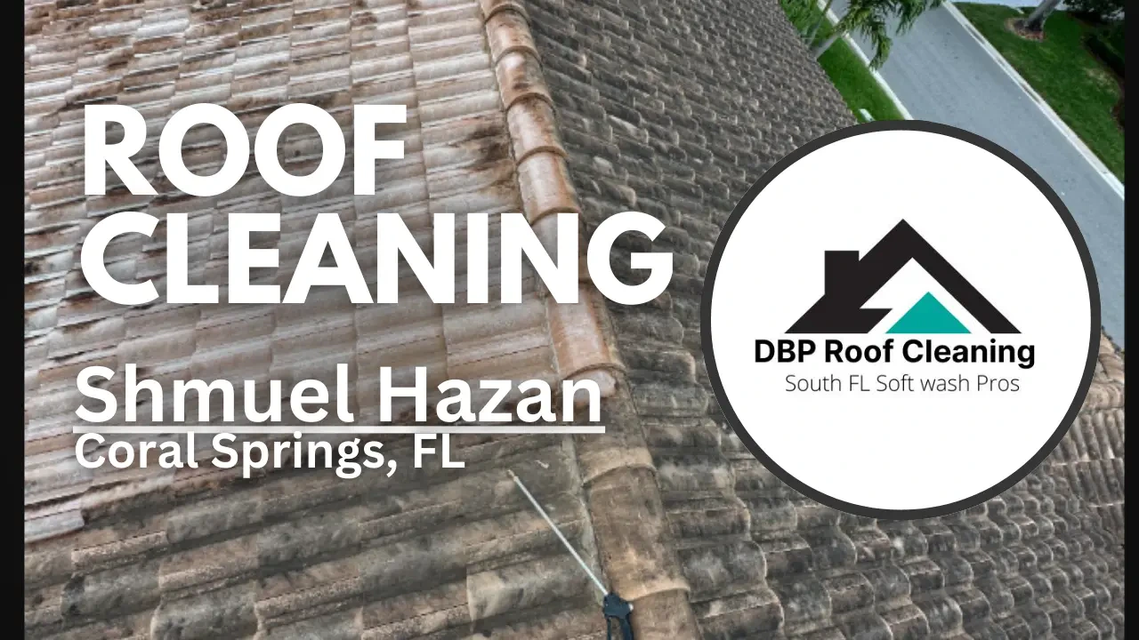 Work photo for Roof cleaning - Soft Wash