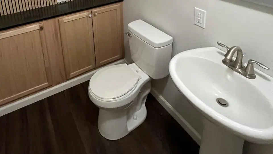Work photo for Toilet removal & replacement labor only $250